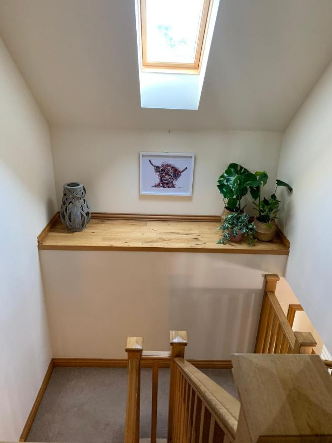 Hen Pen Villa Montrose Bagian luar foto